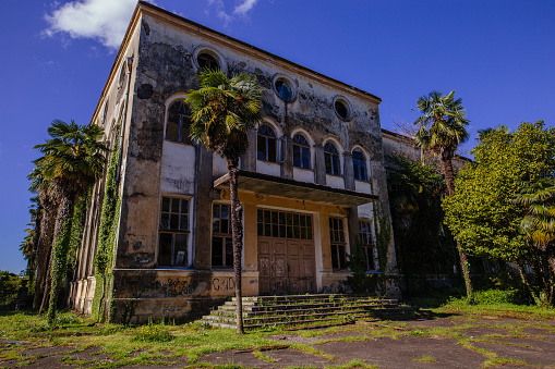 Old abandoned overgrown building of institute of tea industry in Georgia.