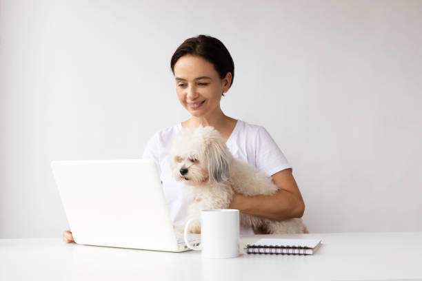 istock Homeoffice with Shih Tzu dog 1862949458