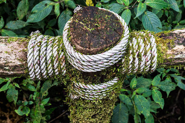 Grunge wood cross knotted with rope