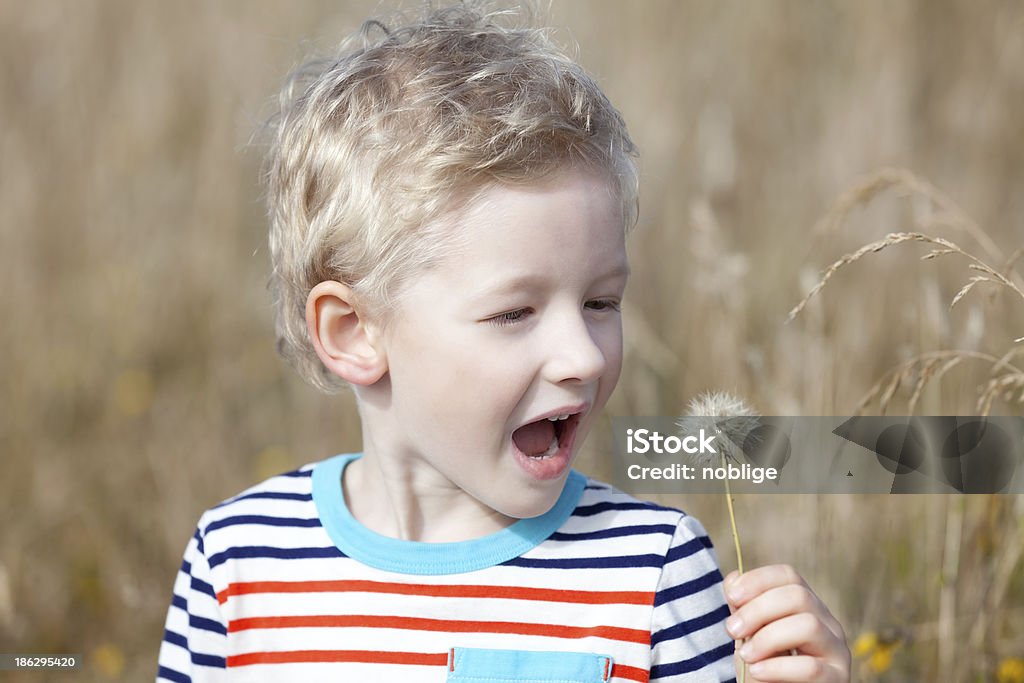 Menino no verão - Foto de stock de Alegria royalty-free