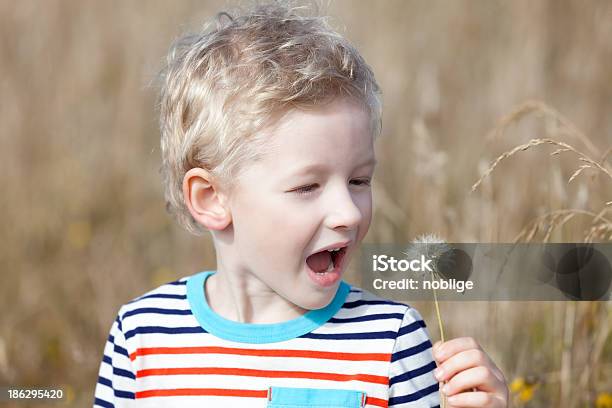 Foto de Menino No Verão e mais fotos de stock de Alegria - Alegria, Atividade, Beleza