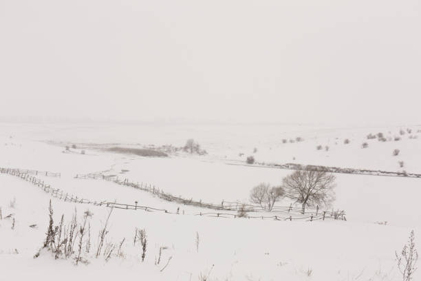 istock Hills with rose bushes in snowy winter 1862956709
