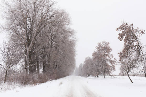 istock Winter snowy road and trees on the roadside 1862962484