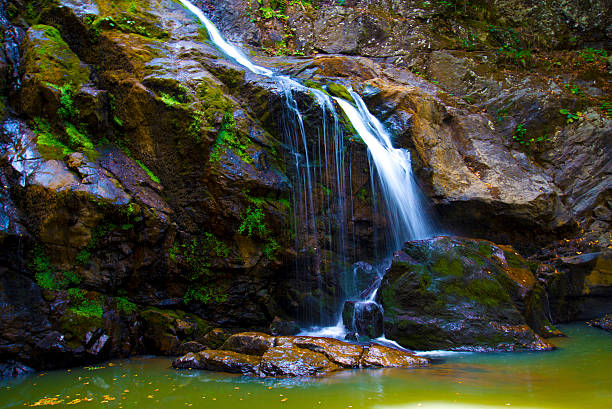 cachoeira - yalova - fotografias e filmes do acervo