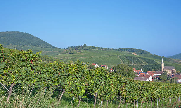 istock Birkweiler,german Wine Route,Rhineland-Palatinate,Germany 186298704