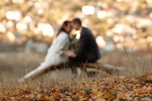 blur background of bride and groom are sitting on tree in nature, focus on leaves
