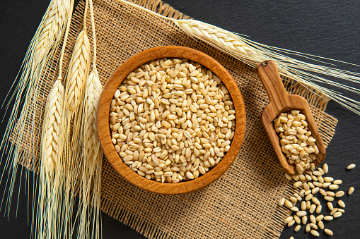 Ripe ears of cereals and grains. Wheat ears, rye, barley and oats on wooden background, top view