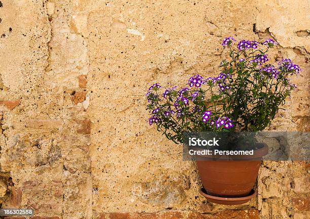 Fiori Toscana - Fotografie stock e altre immagini di Architettura - Architettura, Arredamento, Composizione orizzontale