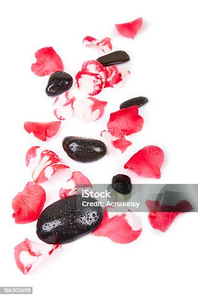 스파 결석 장미 꽃잎 장식 검은색에 대한 스톡 사진 및 기타 이미지 - 검은색, 꽃 한송이, 꽃잎