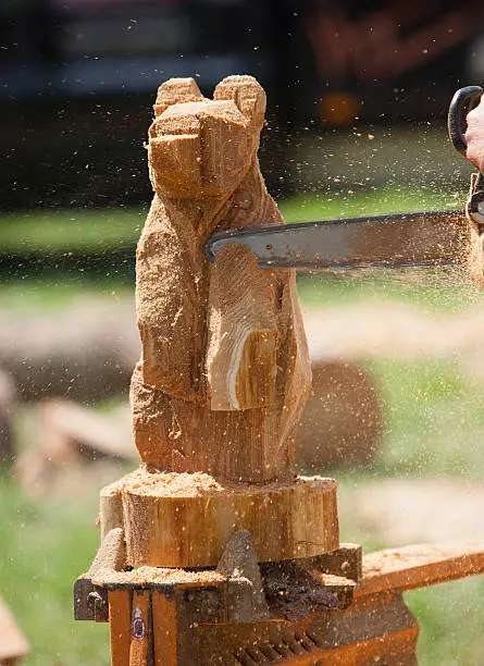 A Chainsaw sculptor carving a bear