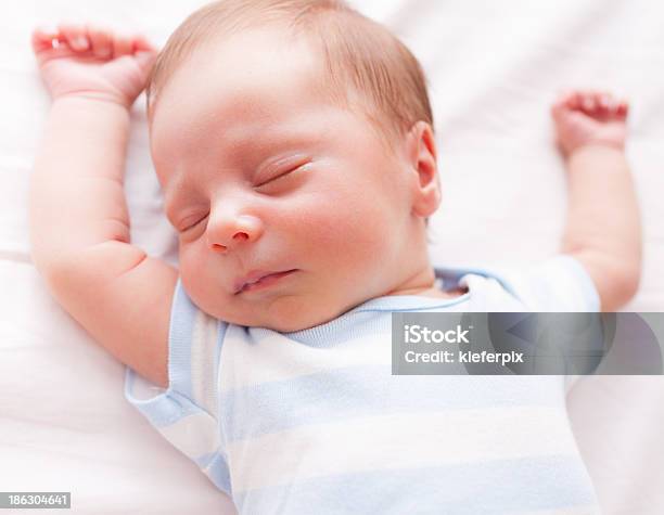 Newborn Baby Sleeping Stock Photo - Download Image Now - Animal, Baby - Human Age, Beautiful People