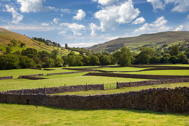 Old walls at Muker Old stone walls, Muker, Swaledale, Yorkshire, England. yorkshire england photos stock pictures, royalty-free photos & images