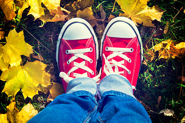 istock Shoes in yellow leafs 186304991