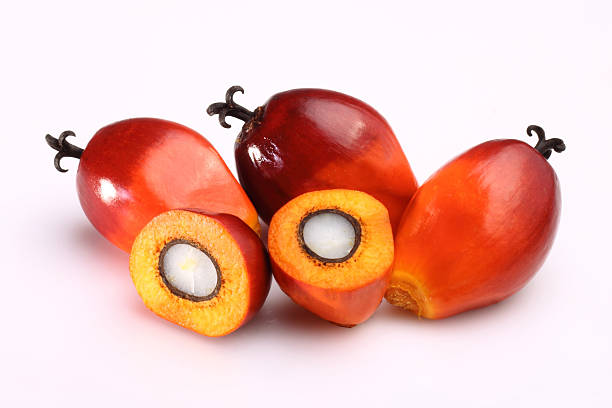 istock Oil palm fruit 186307290