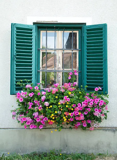green painted wooden window decorated with flowers