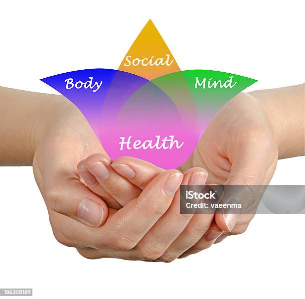 Диаграмма Здоровья — стоковые фотографии и другие картинки Взаимосвязь - Взаимосвязь, Взрослый, Внутренний орган человека