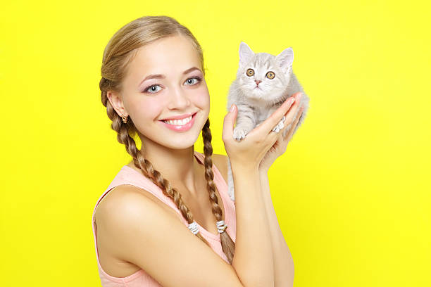 beautiful girl with Scottish kitten on yellow background