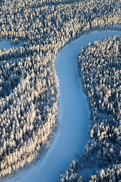floresta rio em dia de inverno - overhand - fotografias e filmes do acervo