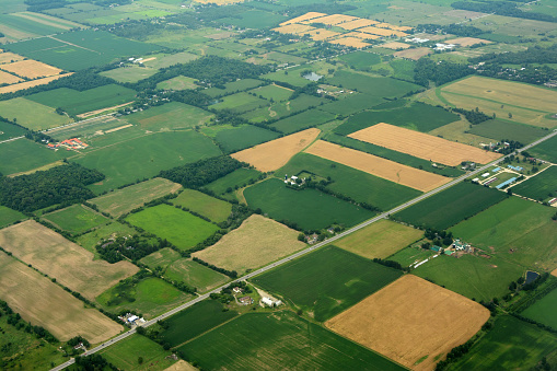 Tierra agrícola, Ontario, Canadá photo