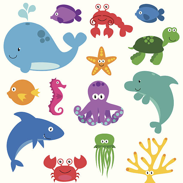 Sea Animals Clipart for Free Download | FreeImages