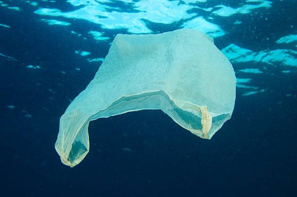 istock Plastic bag floating in the ocean 186312235
