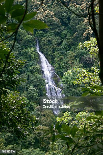 Wasserfall In Sikkim Stockfoto und mehr Bilder von Asien - Asien, Bach, Baum