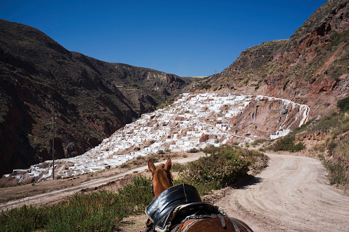 The view from a horse, looking down on the Maras salt flats, an ancient pre Inca site. They are located close to Peru's sacred valley and consist of thousands of ponds that are owned by local families. The pools fill naturally with salt and after time and sunlight the salt is harvested.
