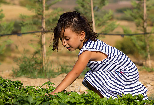 Menina no jardim - foto de acervo