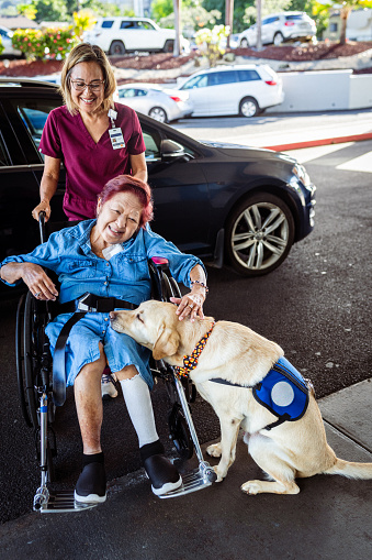 A cheerful elderly woman of Asian descent who is using a wheelchair poses with her emotional support service dog outside her apartment building with her home caregiver.