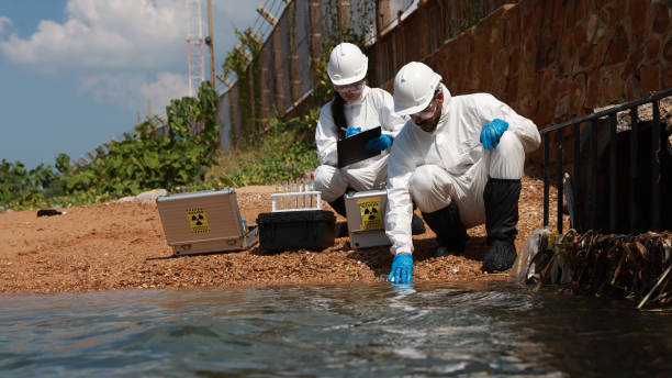 istock Male and female biologists analyze water test results and keep samples for examining 1863183199