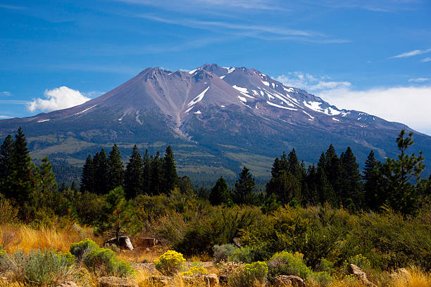 istock Hot Summer Day Weed California Base Mount Shasta Mountain Cascade 186318530