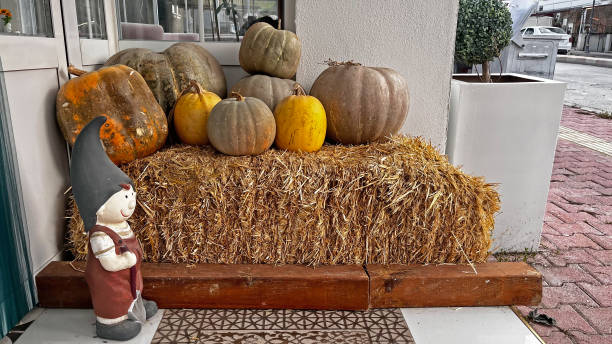 istock Pumpkins and straw prepared for the New Year. 1863188586