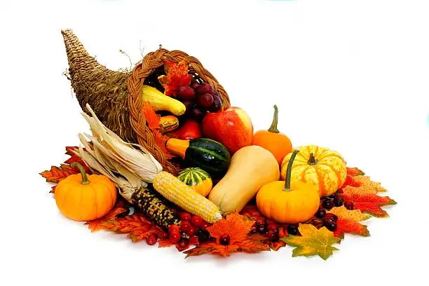 Photo of Cornucopia filled with autumn vegetables over white