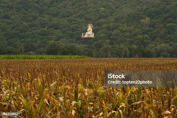 Outdoor White Buddha On Mountain Near Corn Field Stock Photo - Download Image Now - Agricultural Field, Agriculture, Asia