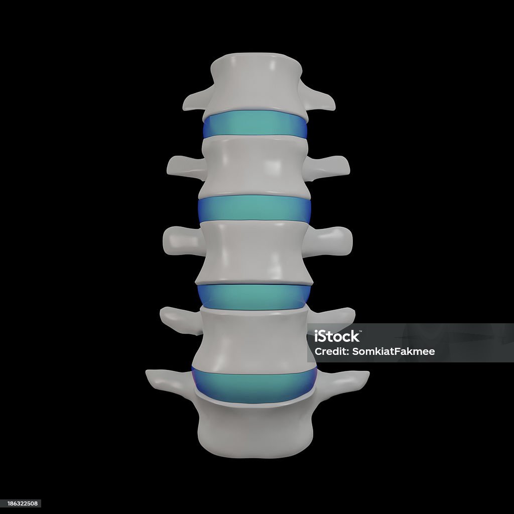 3 d illustration-Lendenwirbelsäule aus - Lizenzfrei Anatomie Stock-Foto