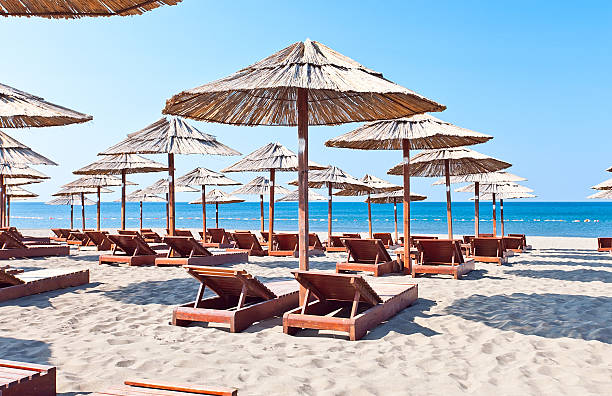 istock sunbeds and parasols on the beach 186324256