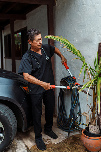 A mature adult multiracial man of Hawaiian and Finnish descent who is wearing scrubs and just returned home from work at a dental clinic uses large clippers to trim a tropical plant in the front yard of his home.