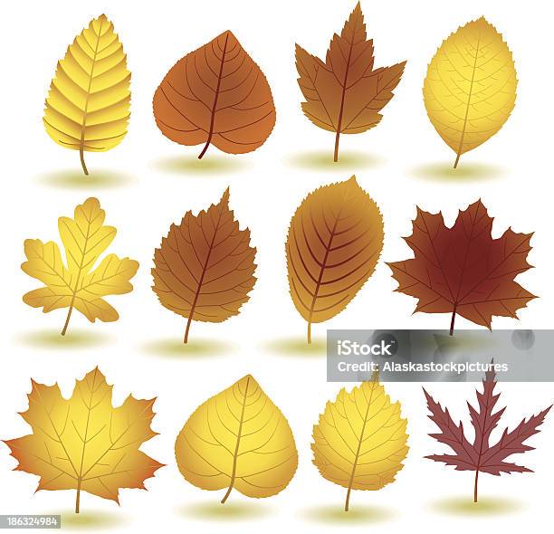 Autumn Leafs Stock Illustration - Download Image Now - Autumn, Decoration, Illustration