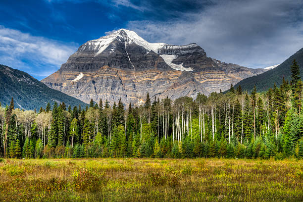 Mount Robson stock photo