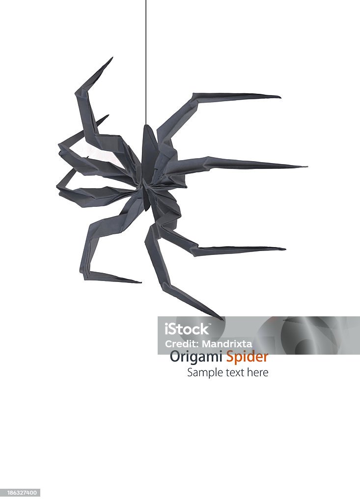 Spider origami - Zbiór zdjęć royalty-free (Pająk)