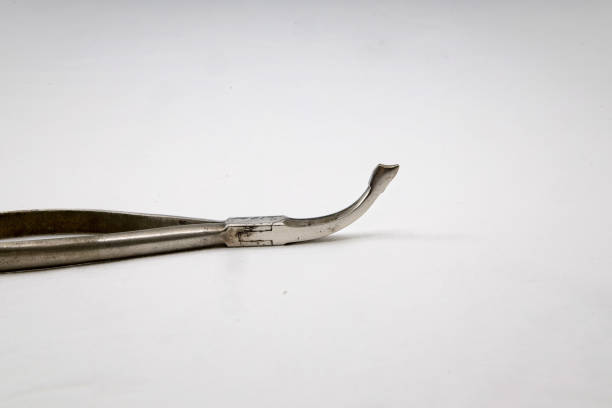 Dental tooth extractor