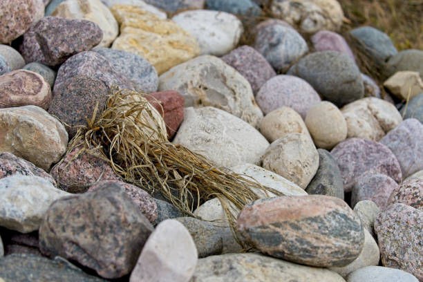 dead grass stuck to light colored landscaping rock