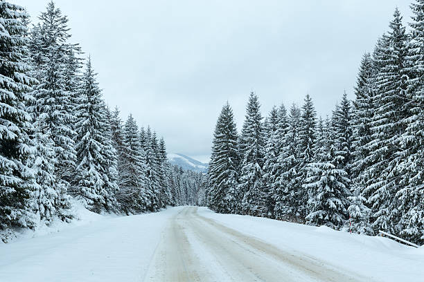 istock Winter country road with fir forest (overcast day). 186330313