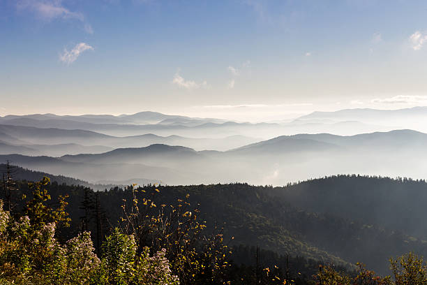 great-smoky-mountains-berg clingman's dome - great smoky mountains great smoky mountains national park mountain smoke stock-fotos und bilder