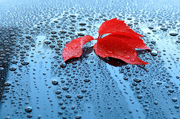 gotas de agua en coche con una pintura de hoja roja - protection insurance dark rain fotografías e imágenes de stock