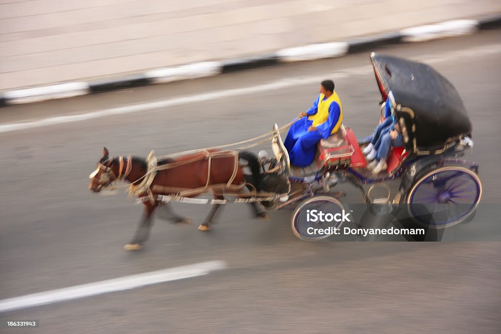 Carro de caballos en una calle de asuán, Egipto - Foto de stock de Caballo - Familia del caballo libre de derechos