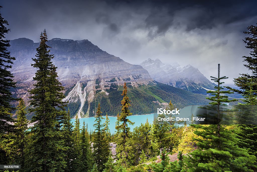 See Peyto Lake - Lizenzfrei Banff-Nationalpark Stock-Foto