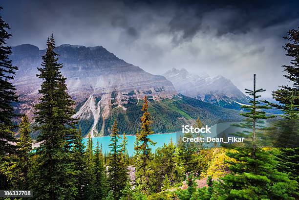 See Peyto Lake Stockfoto und mehr Bilder von Banff-Nationalpark - Banff-Nationalpark, Berg, Berggipfel