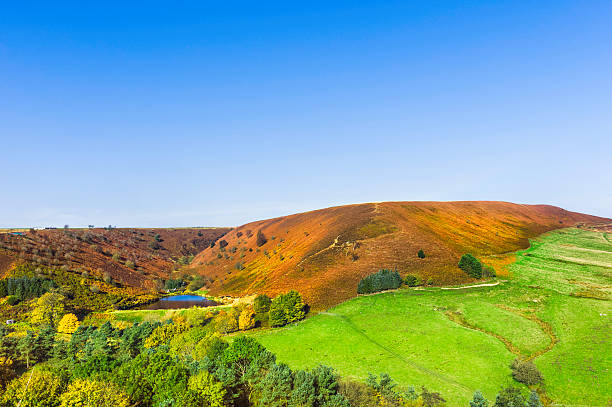 istock North York Moors, Goathland, Yorkshire, UK. 186333062