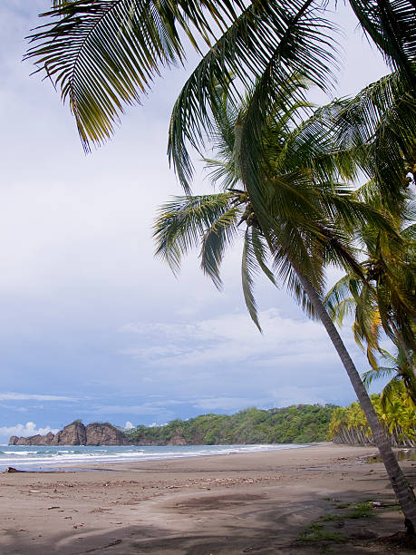 istock Tropical beach in Costa Rica 186333705